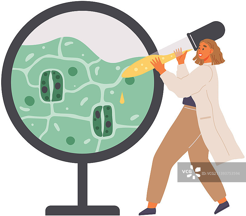 生物学家研究植物生物结构图片素材