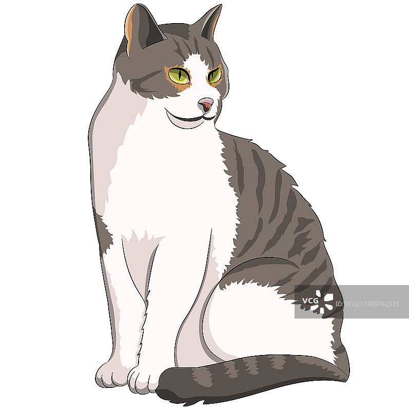 条纹家猫坐姿绘画图片素材
