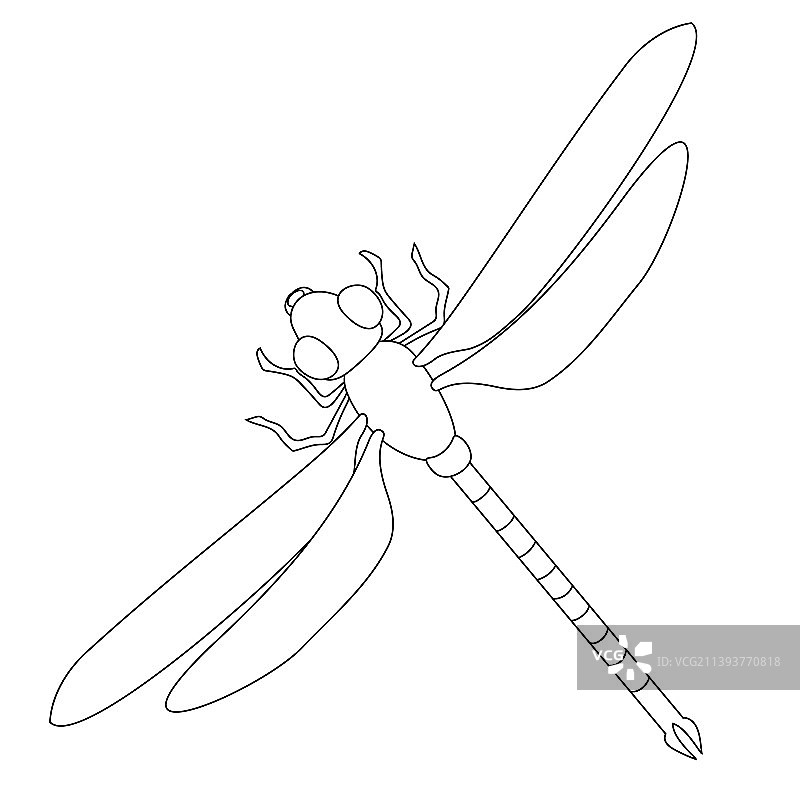 蜻蜓单线艺术昆虫极简线条画图片素材
