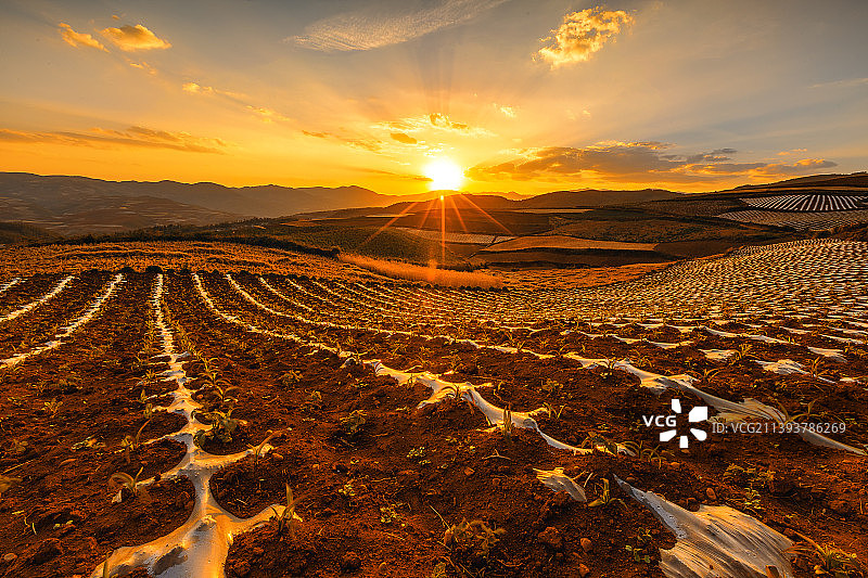 日落红土地-云南东川图片素材