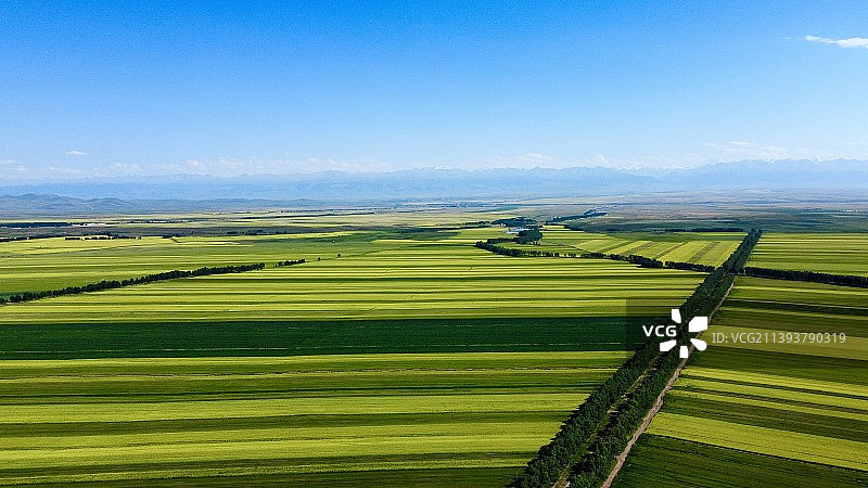 新疆伊犁昭苏玉湖图片素材