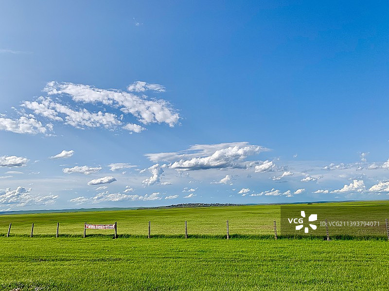 夏季高原草地湿地景观图片素材
