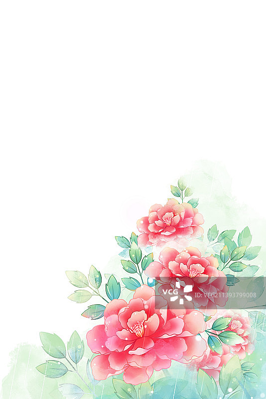 粉红色唯美浪漫水彩牡丹插画，搭配白色背景图片素材