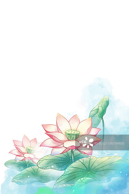 蓝色唯美浪漫水彩莲花插画，搭配白色背景图片素材