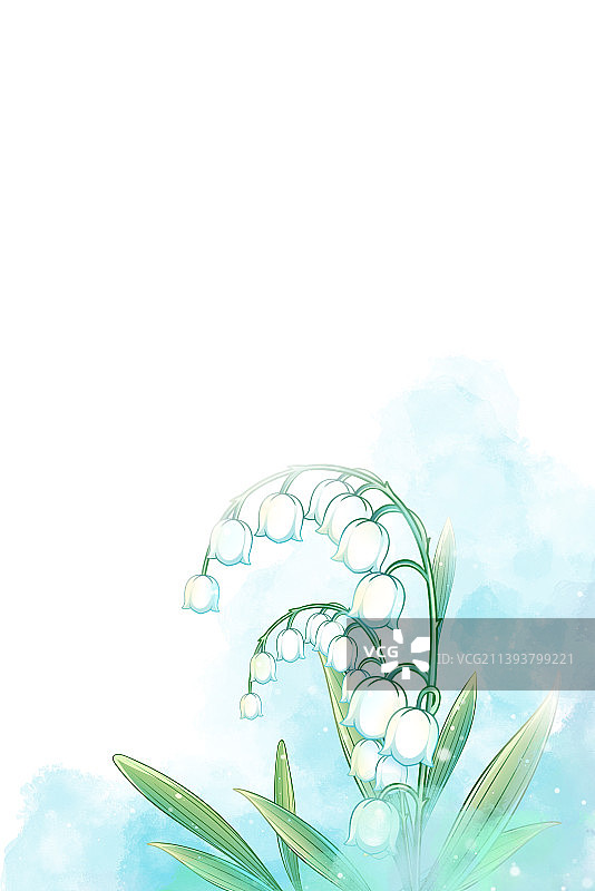 浅蓝色唯美浪漫水彩铃兰花插画，搭配白色背景图片素材