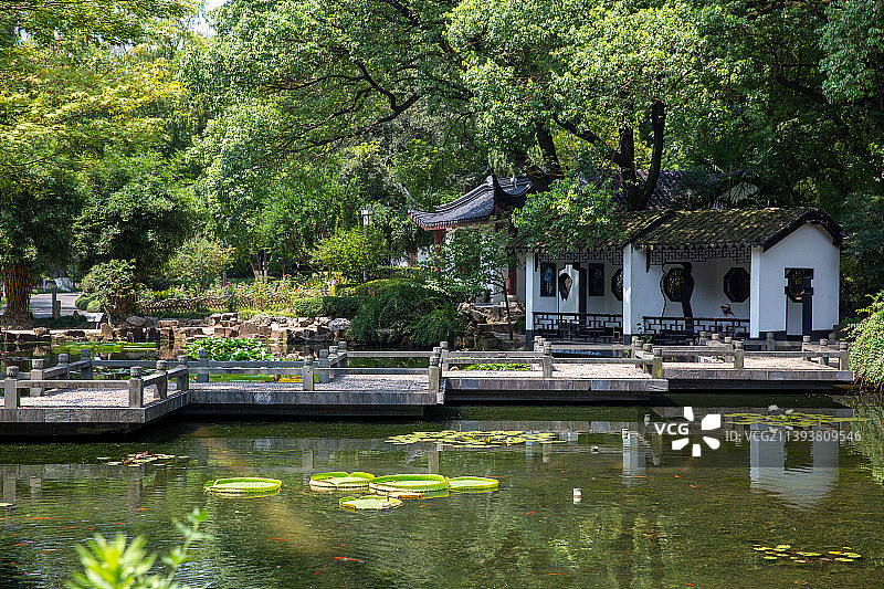 苏州园林昆山亭林园夏日风光图片素材