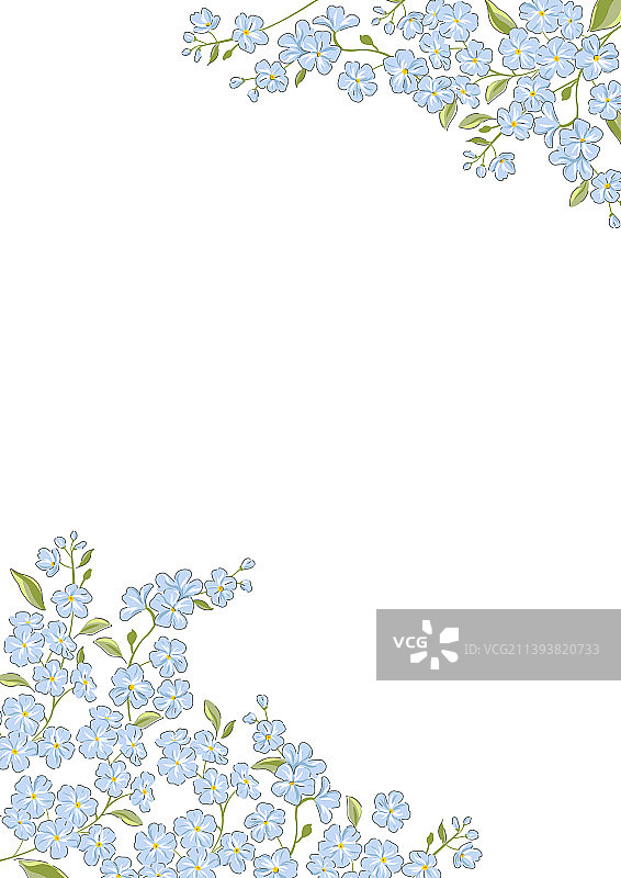 手绘勿忘我花边框图片素材