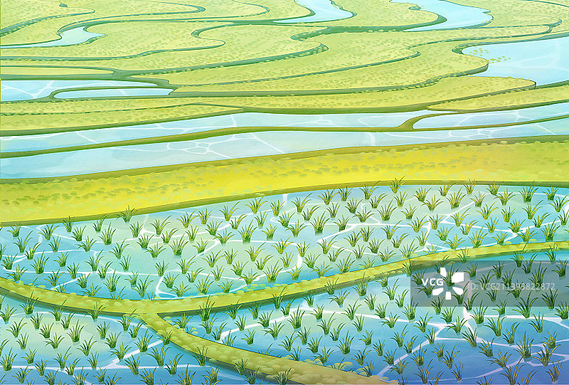 温馨治愈梯田插秧水稻背景图片素材