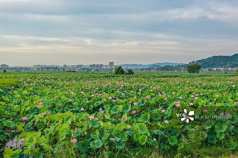 四川开江荷花基地宝泉塔图片素材