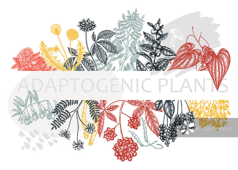 拼贴风格的适应原植物流行banner图片素材