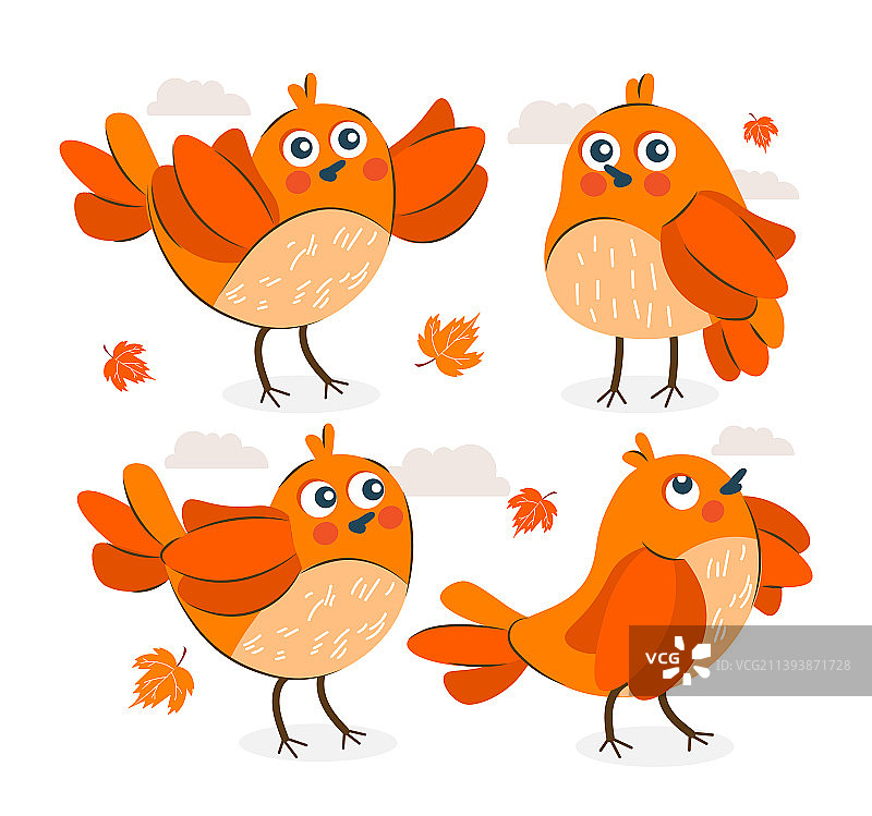 橙色小鸟合集图片素材