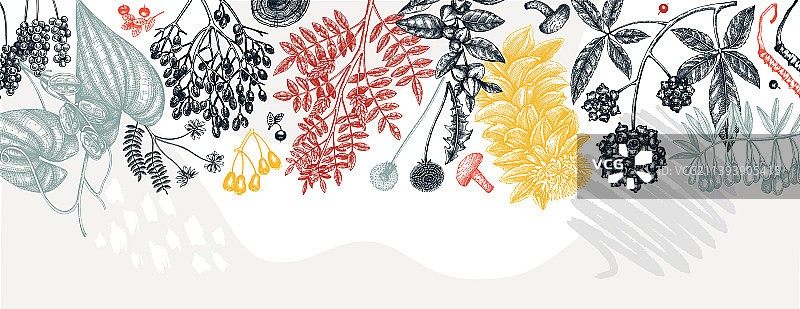 拼贴风格的适应原植物潮流背景图片素材