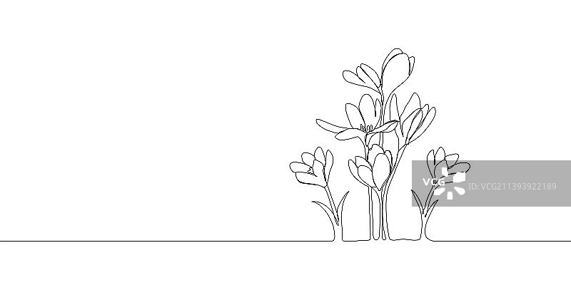 番红花剪影图片素材