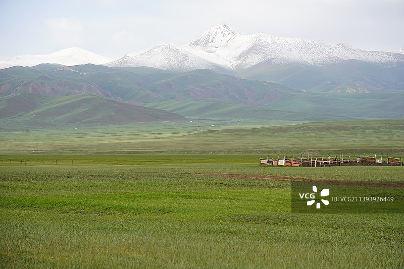 雪山，草原，与牧民图片素材