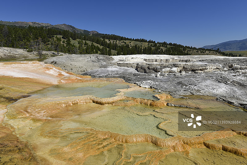 美国黄石国家公园——石灰石地热台阶图片素材