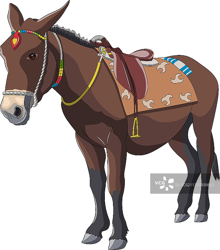 白色背景上的家驴简笔画图片素材