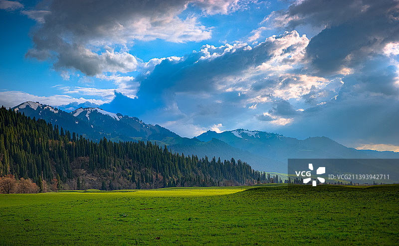 唐布拉草原风光图片素材