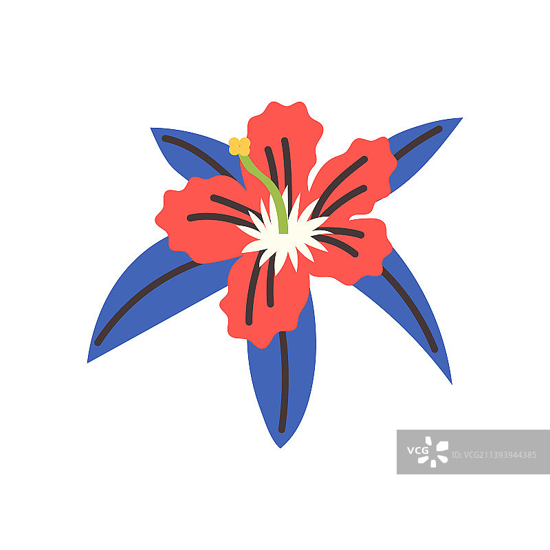 异域风情花朵图片素材