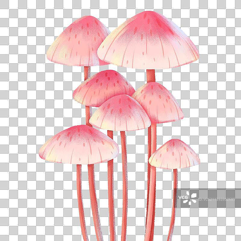 植物蘑菇插画图片素材