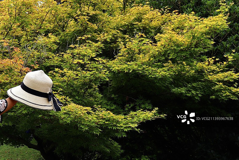 夏天里的秋色｜草帽图片素材