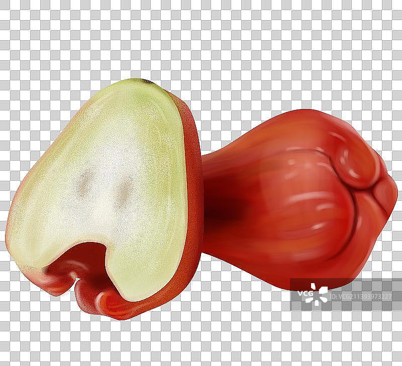 莲雾手绘插画图片素材