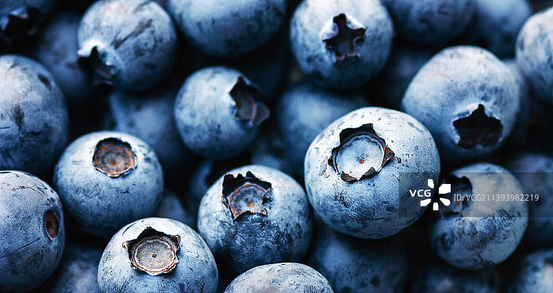 蓝莓的完整画面图片素材