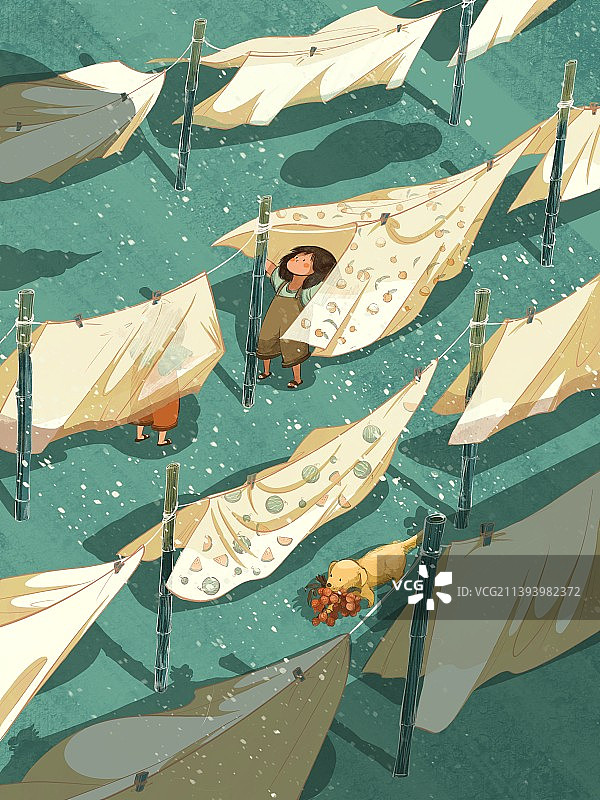 南方24节气-夏至图片素材