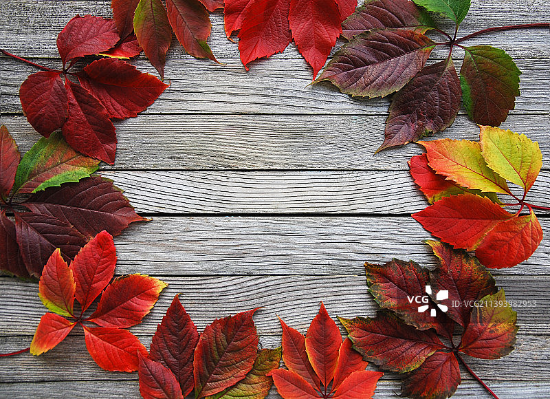 木质背景上的秋叶相框图片素材