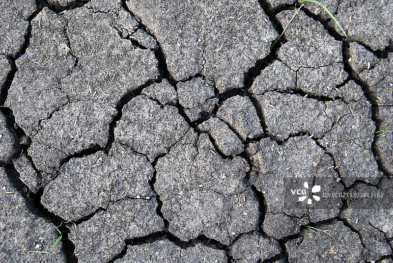 干燥开裂的土壤纹理特写图片素材