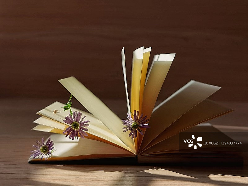 晒太阳图片素材