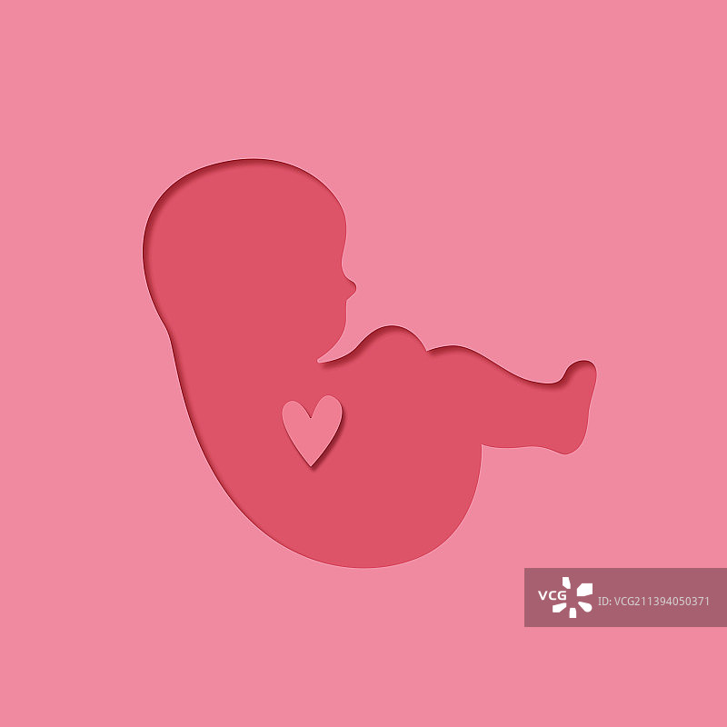 剪纸风格的带心人类胚胎图片素材