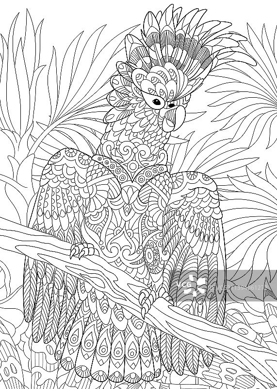 风格化的凤头鹦鹉图片素材