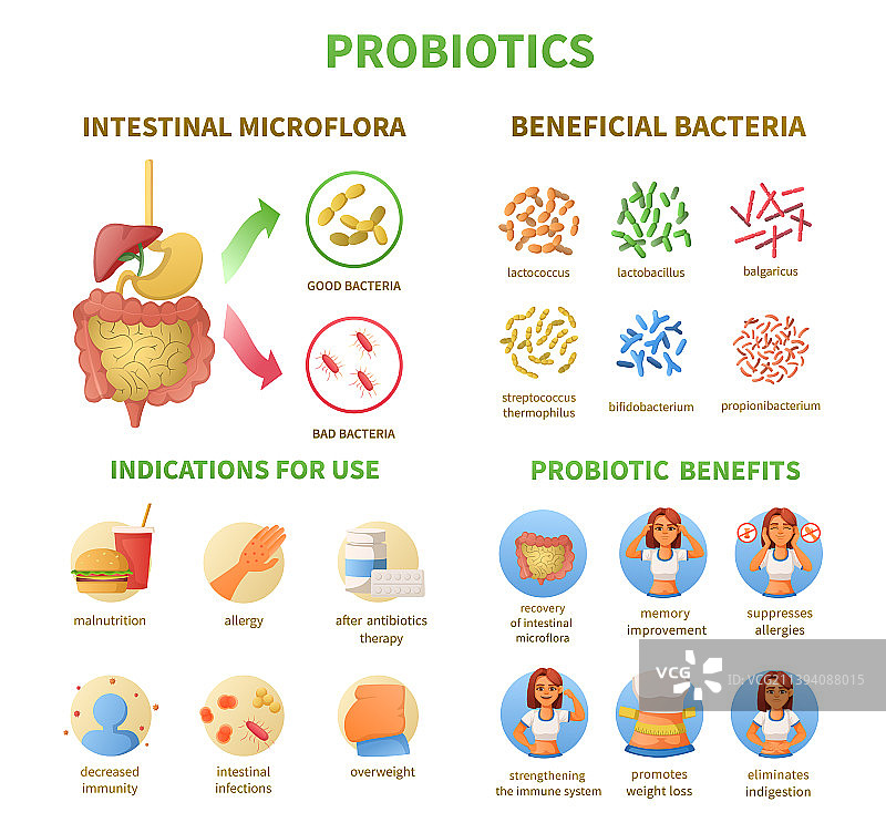 益生菌信息图卡通套装图片素材