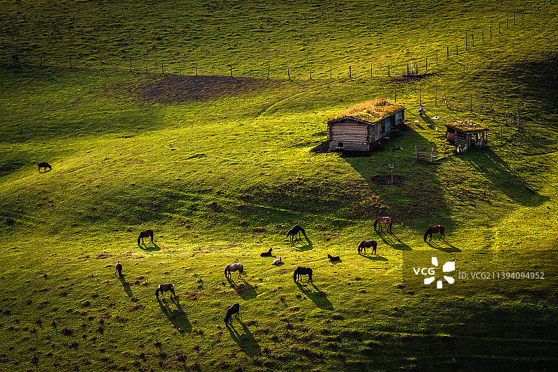 琼库什台的清晨图片素材