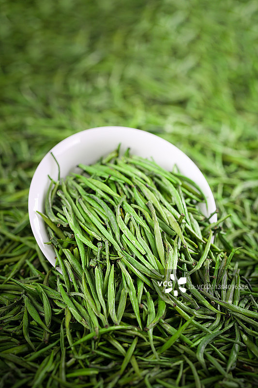 头采雀舌绿茶图片素材