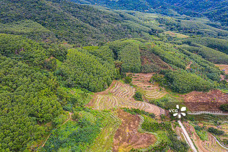 海南五指山牙胡梯田图片素材