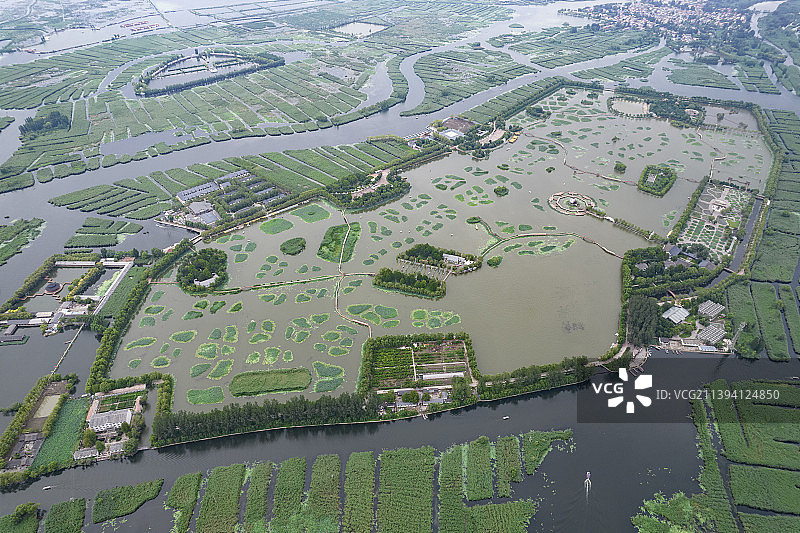 雄安新区安新县荷花大观园鸟瞰航拍图图片素材