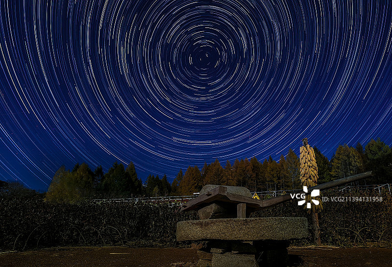 卢大千摄--《年轮》图片素材