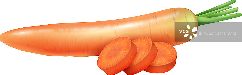 逼真的胡萝卜蔬菜组合图片素材