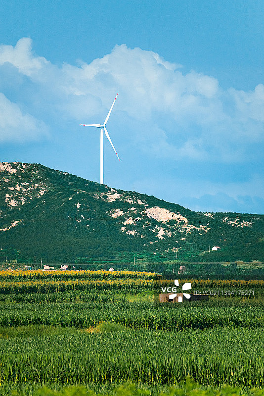 胶东的乡野风情图片素材