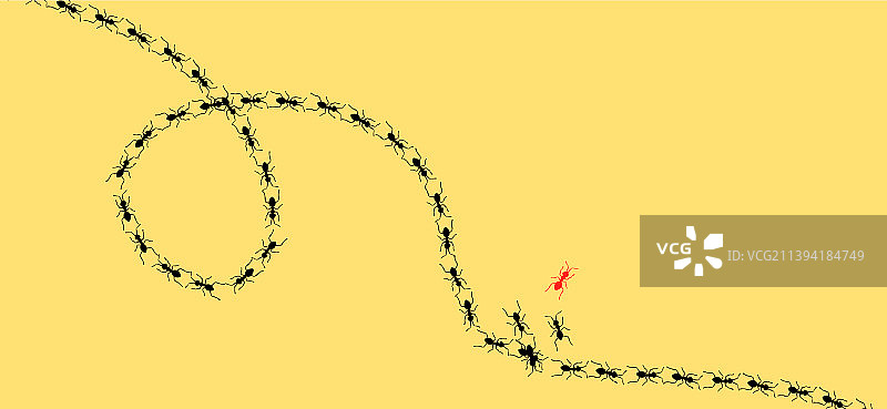 蚂蚁无缝图案图片素材