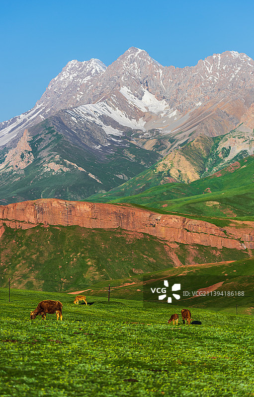 新疆克州玉其塔什草原的夏季自然风光图片素材