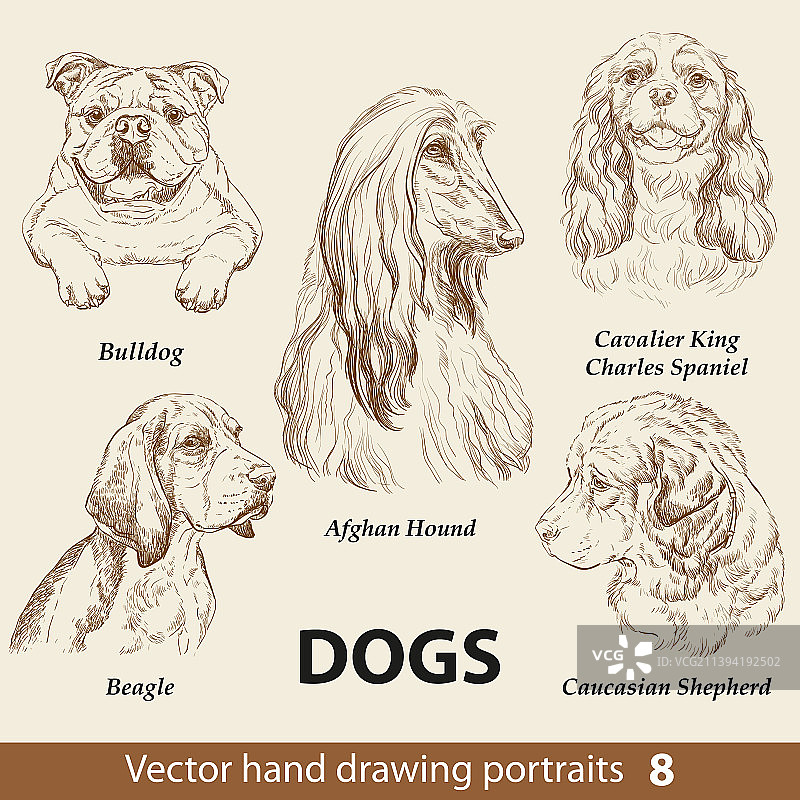 手绘狗狗图案合集8图片素材