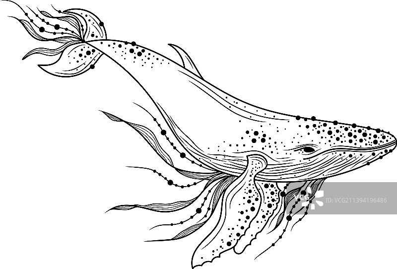 鲸鱼剪影图片素材