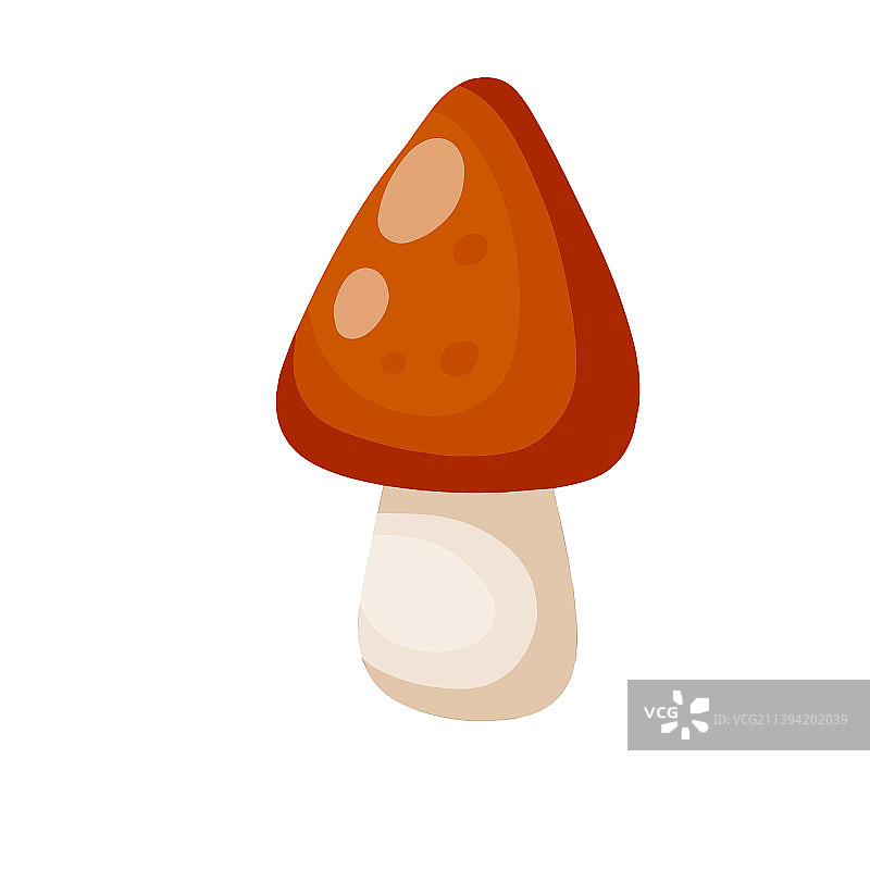 红帽蘑菇图片素材