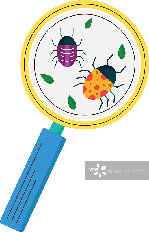带有昆虫的放大镜图片素材