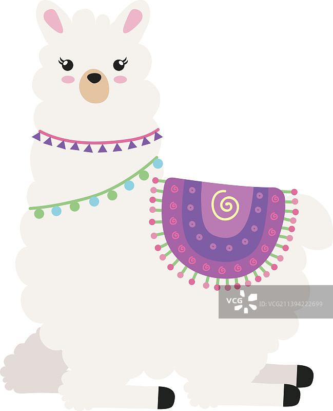 可爱的美洲驼躺姿图片素材