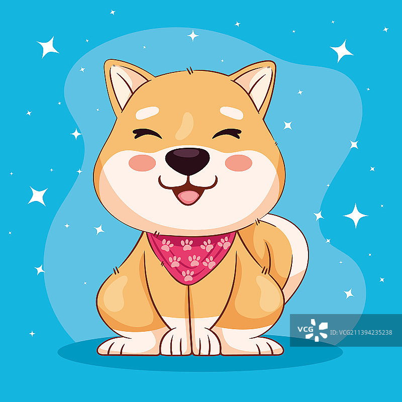 戴围巾的柴犬场景图片素材