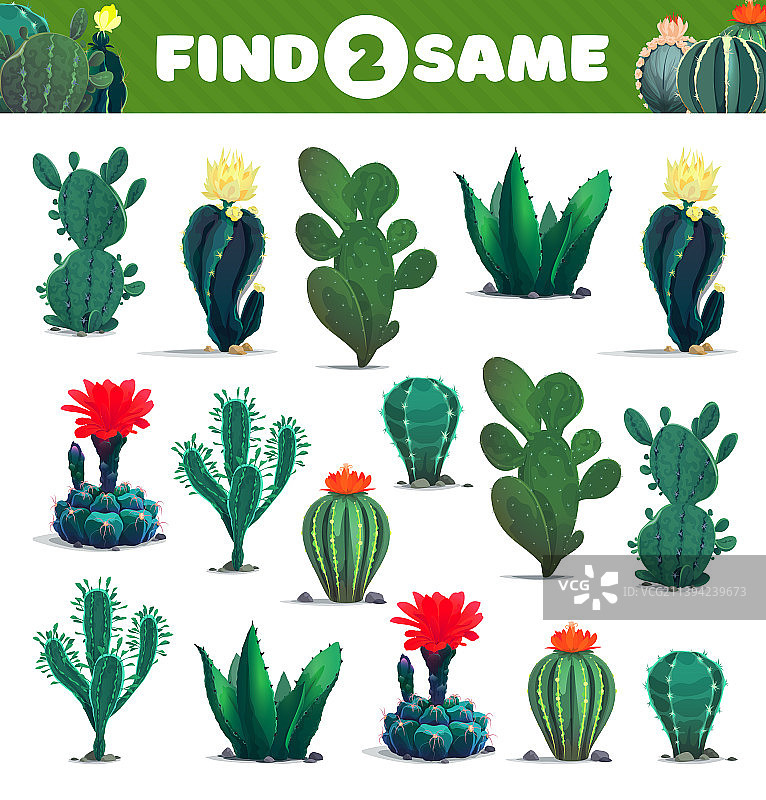 找出两张相同的仙人掌多肉植物儿童游戏表图片素材