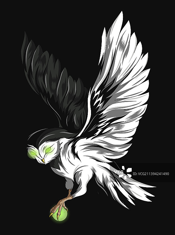 黑白猫头鹰图片素材